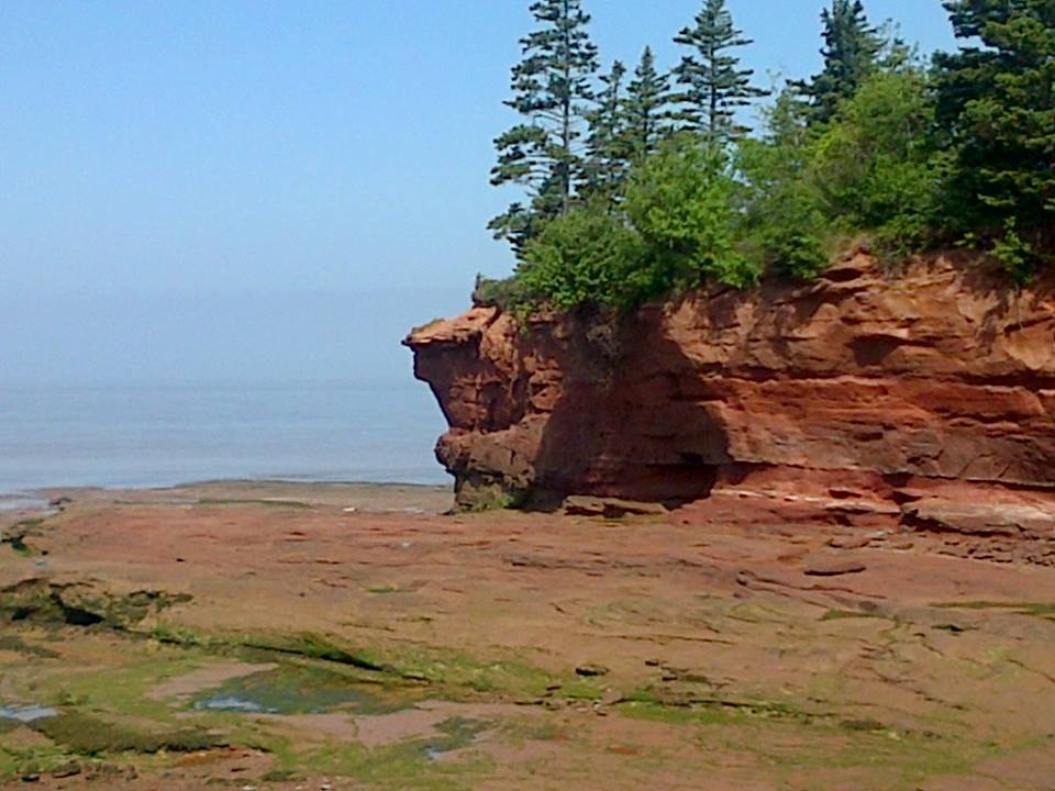 What Is Unique About The Bay of Fundy?